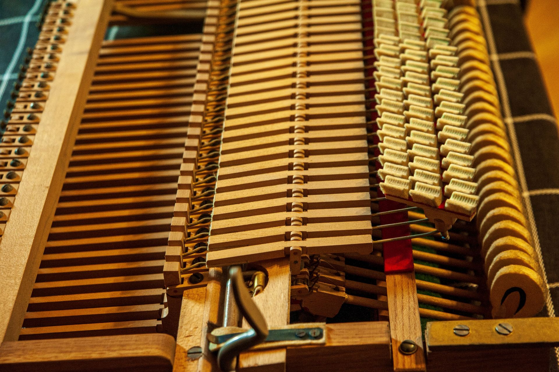 Detailed view of piano internal mechanisms, showcasing hammer action and strings.